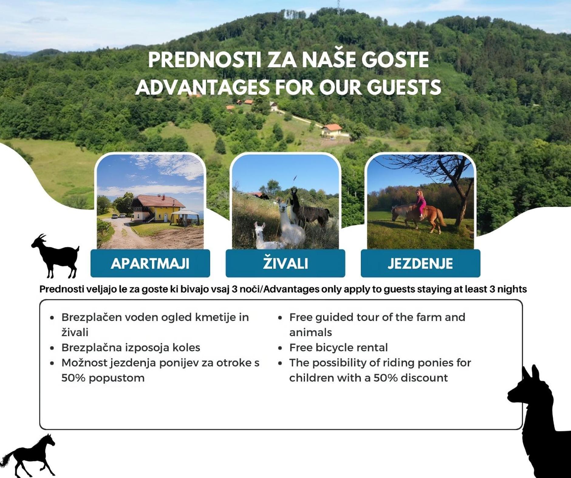 Апартаменты Eko Pony Ranch Ogrizek Подчетртек Экстерьер фото
